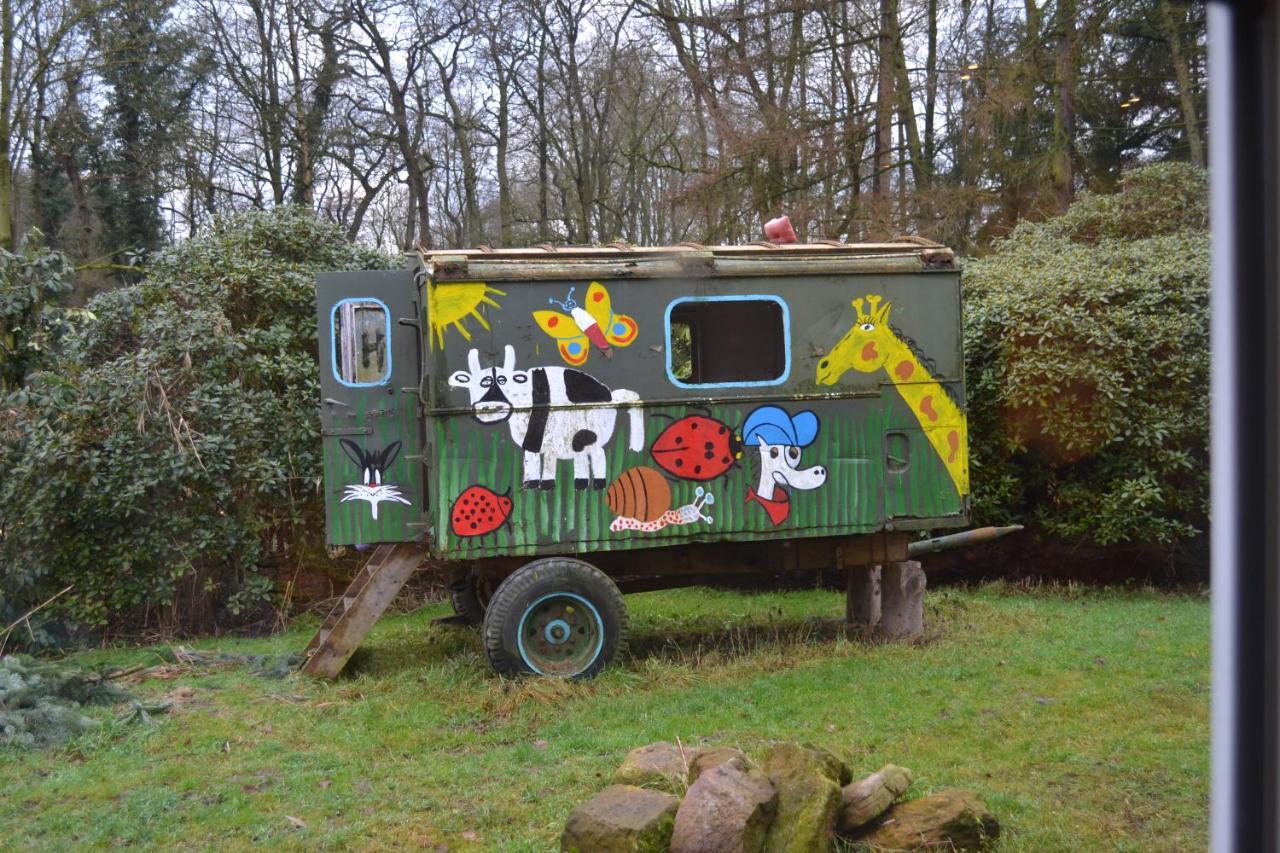 Ferienwohnung Suederfeld Brake (Wesermarsch) Exterior foto